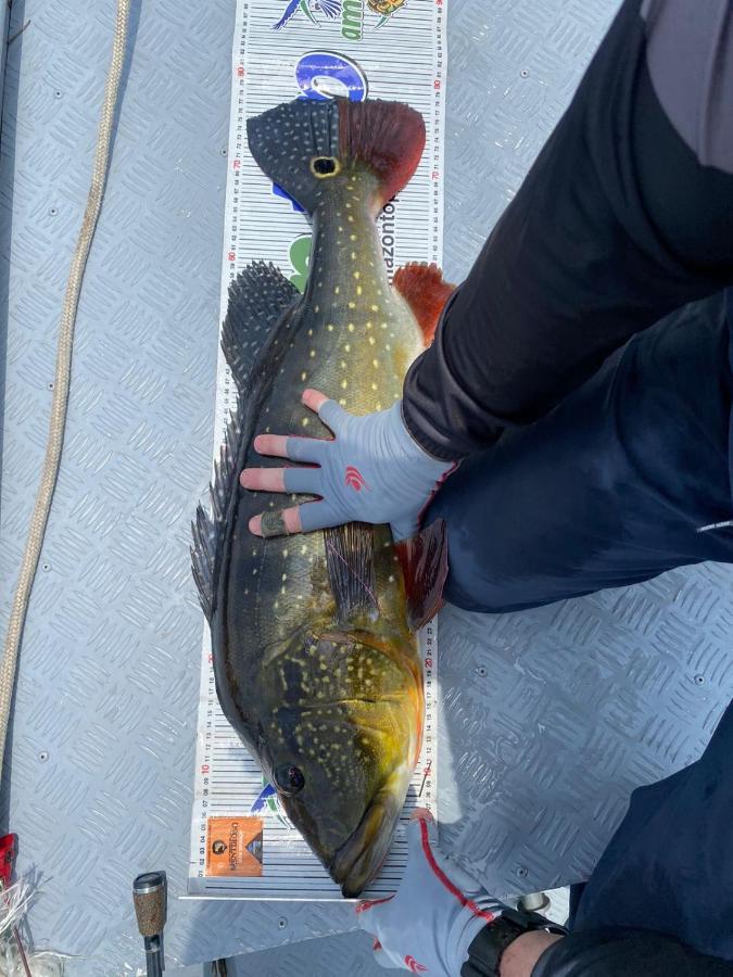 Tucunare Sport Fishing Otel Itacoatiara  Dış mekan fotoğraf